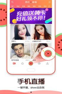 吃瓜视频互享,揭秘娱乐圈幕后故事