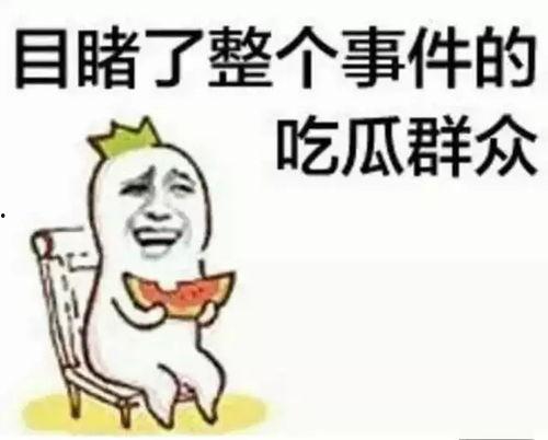 吃瓜群众刘小卓视频大全,揭秘娱乐圈幕后故事