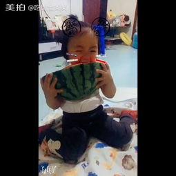 带你吃瓜搞笑设计视频,搞笑视频盛宴