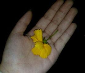 现场吃瓜视频素材下载