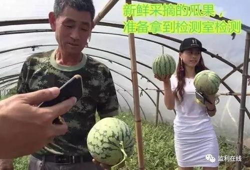 吃瓜群众最新试验视频,一探究竟，实验结果令人惊叹！